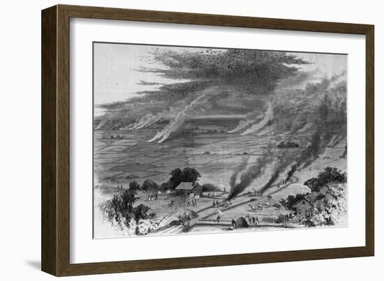 The Grasshopper Plague in Iowa--Farmers of Wright County Driving Away the Pest by Burning Straw Cov-null-Framed Giclee Print