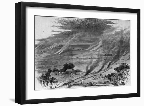 The Grasshopper Plague in Iowa--Farmers of Wright County Driving Away the Pest by Burning Straw Cov-null-Framed Giclee Print