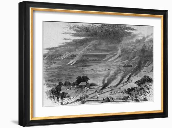 The Grasshopper Plague in Iowa--Farmers of Wright County Driving Away the Pest by Burning Straw Cov-null-Framed Giclee Print