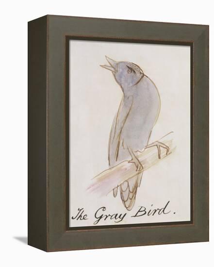 The Gray Bird, from "Sixteen Drawings of Comic Birds"-Edward Lear-Framed Premier Image Canvas