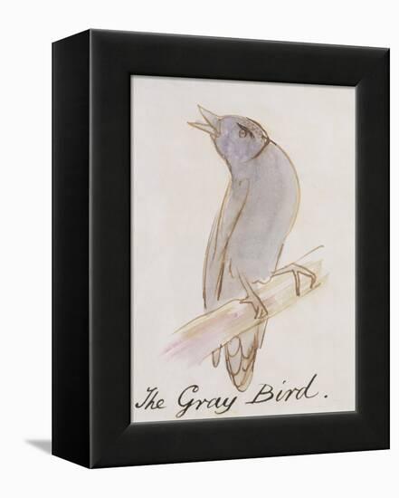 The Gray Bird, from "Sixteen Drawings of Comic Birds"-Edward Lear-Framed Premier Image Canvas