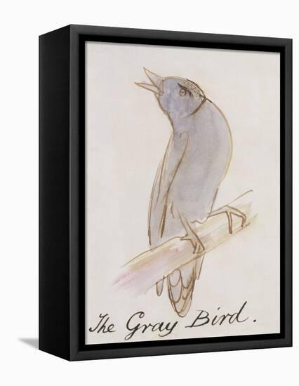 The Gray Bird, from "Sixteen Drawings of Comic Birds"-Edward Lear-Framed Premier Image Canvas