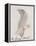 The Gray Bird, from "Sixteen Drawings of Comic Birds"-Edward Lear-Framed Premier Image Canvas