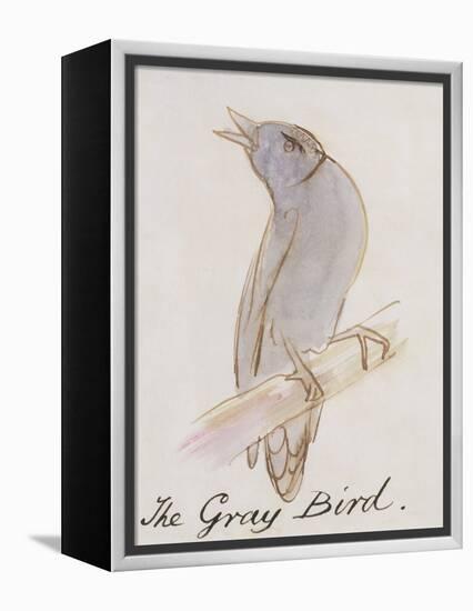 The Gray Bird, from "Sixteen Drawings of Comic Birds"-Edward Lear-Framed Premier Image Canvas