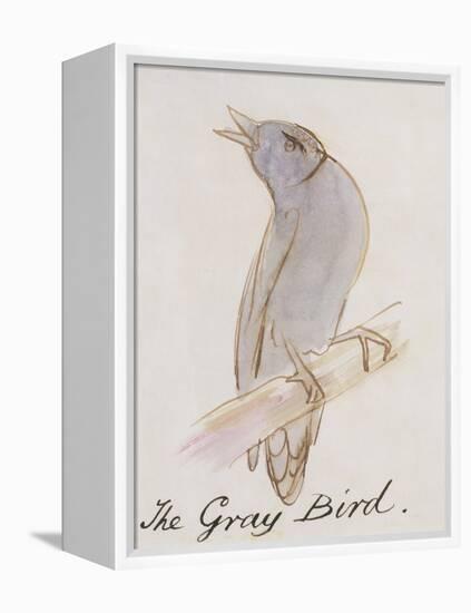 The Gray Bird, from "Sixteen Drawings of Comic Birds"-Edward Lear-Framed Premier Image Canvas