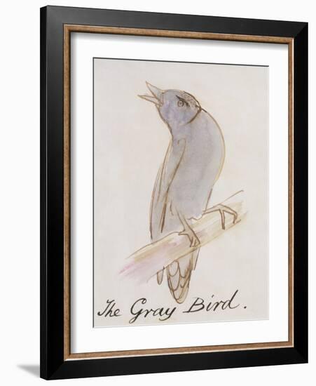 The Gray Bird, from "Sixteen Drawings of Comic Birds"-Edward Lear-Framed Giclee Print