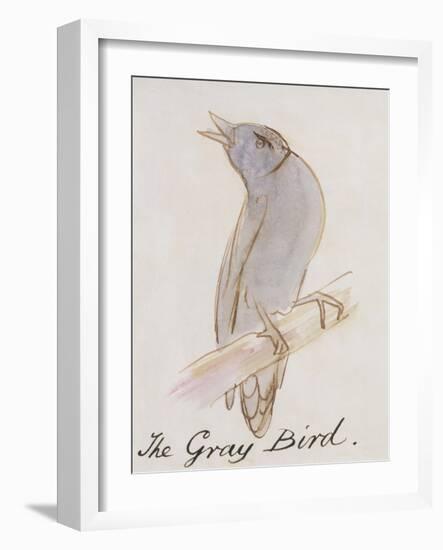 The Gray Bird, from "Sixteen Drawings of Comic Birds"-Edward Lear-Framed Giclee Print