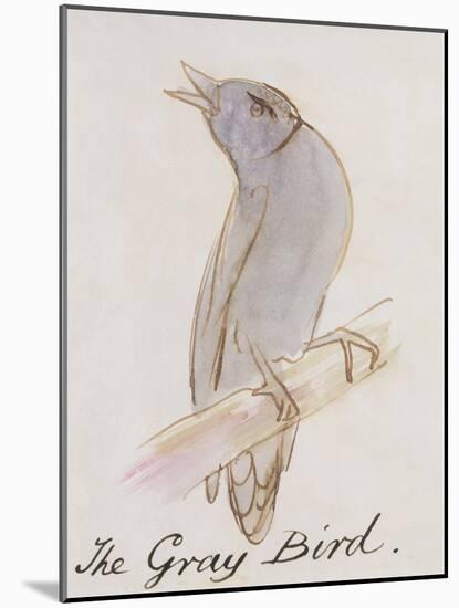 The Gray Bird, from "Sixteen Drawings of Comic Birds"-Edward Lear-Mounted Giclee Print