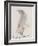 The Gray Bird, from "Sixteen Drawings of Comic Birds"-Edward Lear-Framed Giclee Print