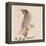 The Gray Bird-Edward Lear-Framed Premier Image Canvas