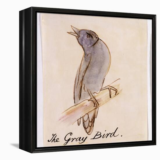 The Gray Bird-Edward Lear-Framed Premier Image Canvas