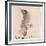 The Gray Bird-Edward Lear-Framed Giclee Print