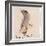 The Gray Bird-Edward Lear-Framed Giclee Print