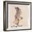 The Gray Bird-Edward Lear-Framed Giclee Print