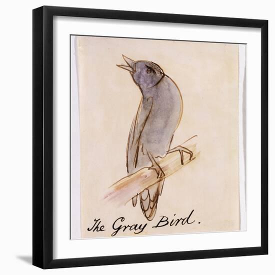 The Gray Bird-Edward Lear-Framed Giclee Print