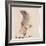 The Gray Bird-Edward Lear-Framed Giclee Print