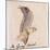 The Gray Bird-Edward Lear-Mounted Giclee Print