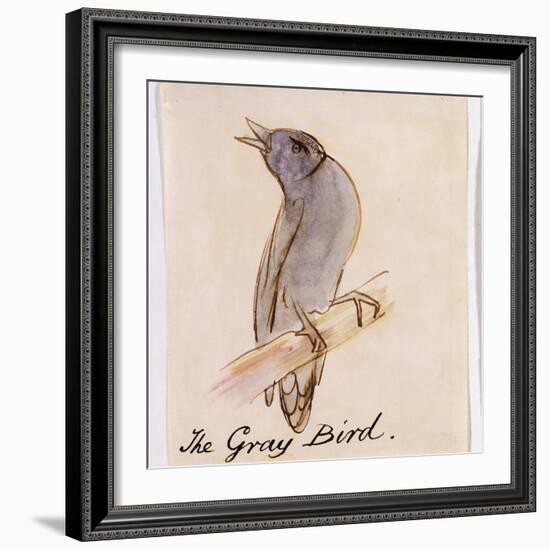 The Gray Bird-Edward Lear-Framed Giclee Print