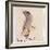 The Gray Bird-Edward Lear-Framed Giclee Print