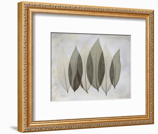 The Grays 5-Albert Koetsier-Framed Art Print