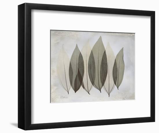 The Grays 5-Albert Koetsier-Framed Art Print