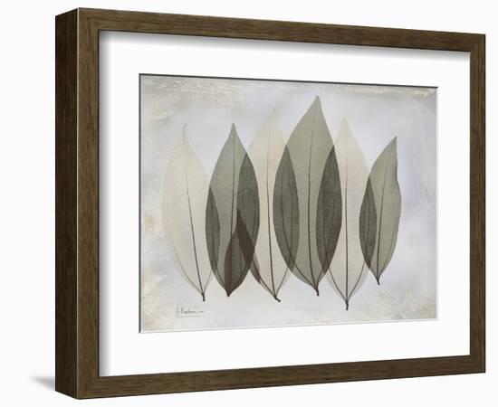 The Grays 5-Albert Koetsier-Framed Art Print