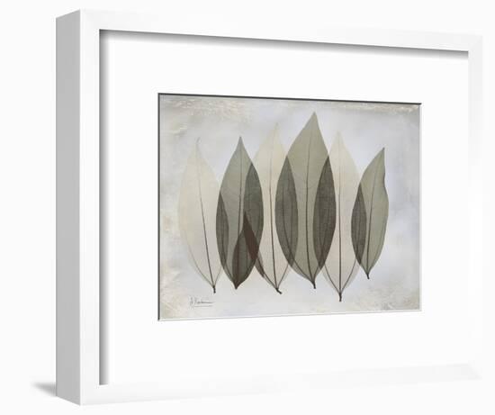The Grays 5-Albert Koetsier-Framed Art Print