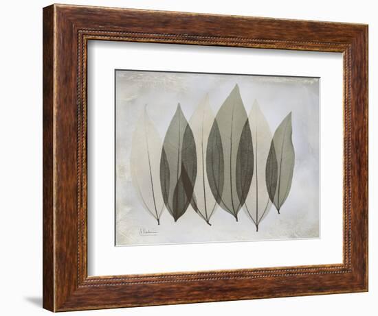 The Grays 5-Albert Koetsier-Framed Art Print