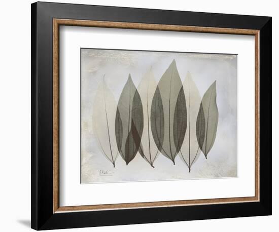 The Grays 5-Albert Koetsier-Framed Art Print