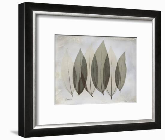 The Grays 5-Albert Koetsier-Framed Art Print