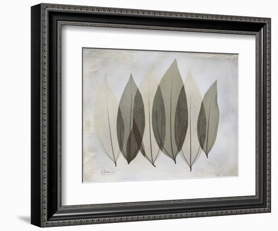 The Grays 5-Albert Koetsier-Framed Art Print