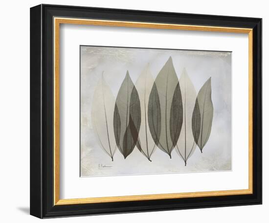 The Grays 5-Albert Koetsier-Framed Art Print