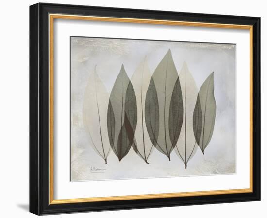 The Grays 5-Albert Koetsier-Framed Art Print