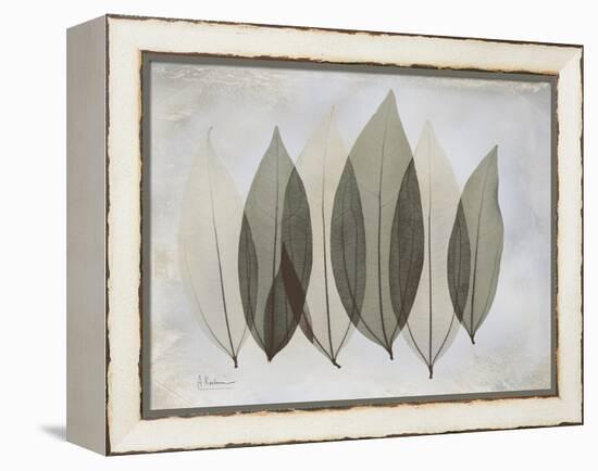 The Grays 5-Albert Koetsier-Framed Stretched Canvas