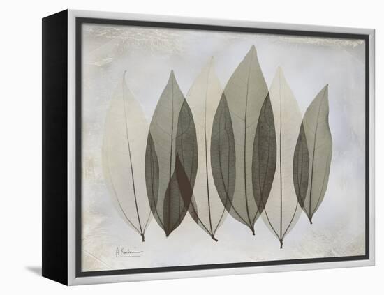 The Grays 5-Albert Koetsier-Framed Stretched Canvas