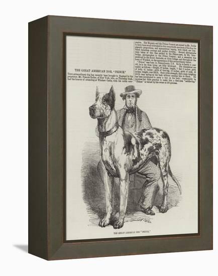 The Great American Dog Prince-Harrison William Weir-Framed Premier Image Canvas