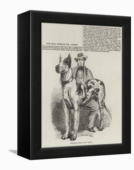 The Great American Dog Prince-Harrison William Weir-Framed Premier Image Canvas