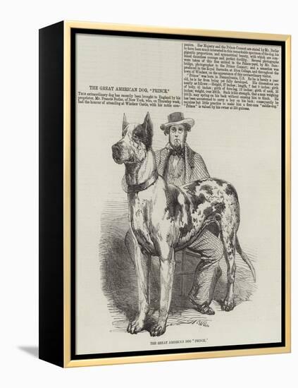 The Great American Dog Prince-Harrison William Weir-Framed Premier Image Canvas