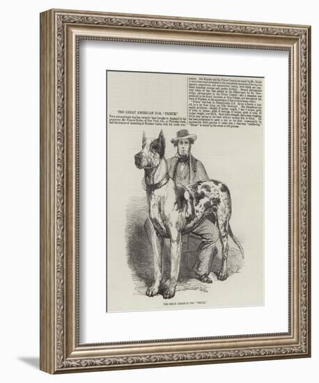 The Great American Dog Prince-Harrison William Weir-Framed Giclee Print