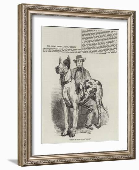 The Great American Dog Prince-Harrison William Weir-Framed Giclee Print