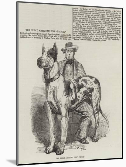 The Great American Dog Prince-Harrison William Weir-Mounted Giclee Print