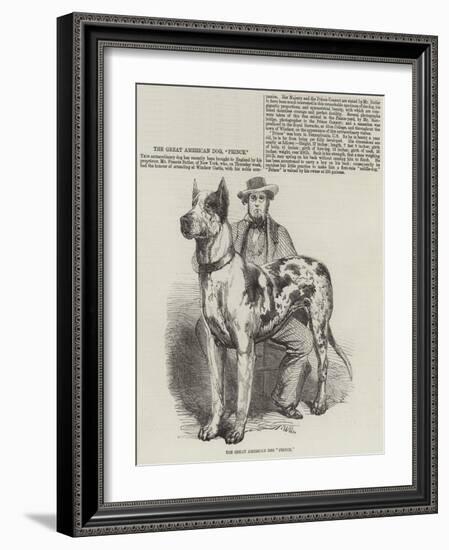 The Great American Dog Prince-Harrison William Weir-Framed Giclee Print