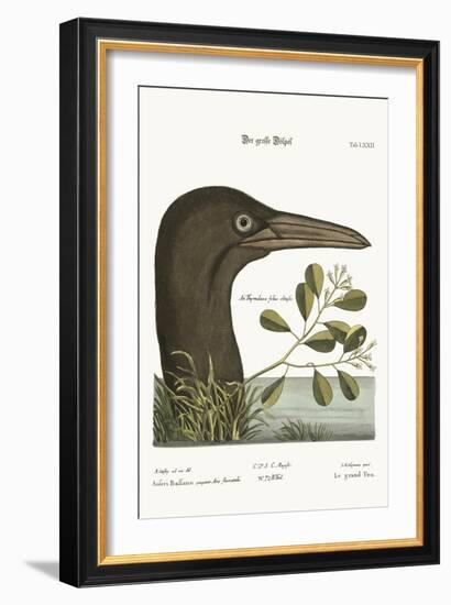 The Great Booby, 1749-73-Mark Catesby-Framed Giclee Print