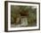 The Great Bridge, 1864-Gustave Courbet-Framed Giclee Print