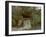 The Great Bridge, 1864-Gustave Courbet-Framed Giclee Print