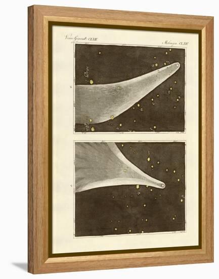 The Great Comet of the Year 1811-null-Framed Premier Image Canvas