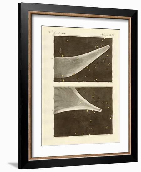 The Great Comet of the Year 1811-null-Framed Giclee Print