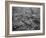 The Great Conemaugh Valley Disaster, Flood and Fire at Johnstown, PA-null-Framed Giclee Print