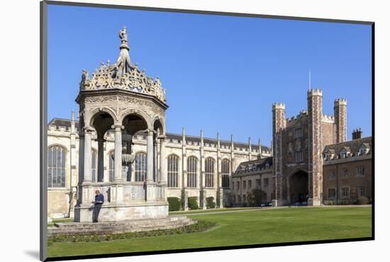 The Great Court, Trinity College, Cambridge, Cambridgeshire, England, United Kingdom, Europe-Charlie Harding-Mounted Photographic Print