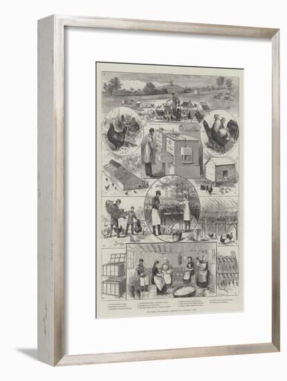 The Great Egg Question, Sketches at a Poultry Farm-null-Framed Giclee Print